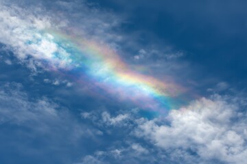 Obraz premium Vibrant Iridescent Cloud in Blue Sky, Rare Atmospheric Optical Phenomenon with Rainbow Colors in White Clouds