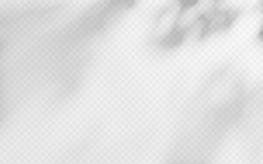 Abstract shadow overlay from tree branch on a transparent background.