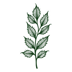 Stylized Leaf Branch In Forest Green