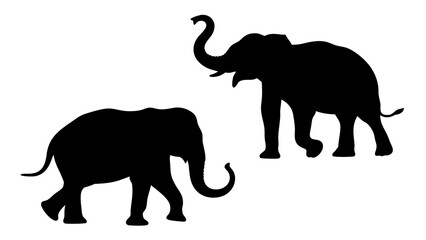Obraz premium Silhouette Of Elephant Family in Harmony