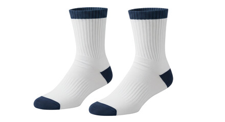 Isolated Pair of White Socks