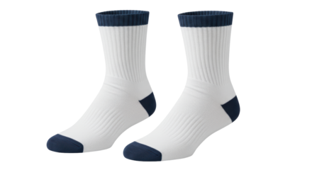 Isolated Pair of White Socks