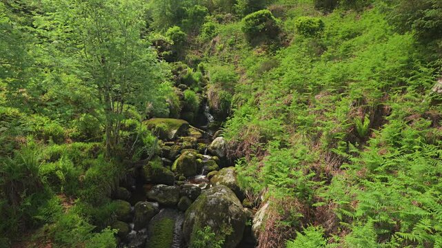 Waterfall gently flowing over rocks with green ferns and moss at Glencree waterfall in Wicklow, Ireland. Smooth gimbal movement