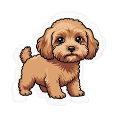 Cavapoo Dog Illustration