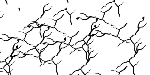 Deep cracks intertwine across a stark white surface, creating an abstract tapestry that showcases the beauty within destruction. Nature’s design captivates the observer’s imagination.
