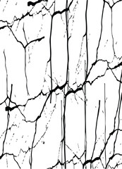 Deep cracks intertwine across a stark white surface, creating an abstract tapestry that showcases the beauty within destruction. Nature’s design captivates the observer’s imagination.
