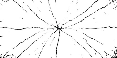 Deep cracks intertwine across a stark white surface, creating an abstract tapestry that showcases the beauty within destruction. Nature’s design captivates the observer’s imagination.
