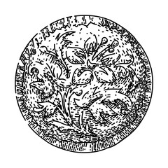 brass ornate metal button sketch hand drawn vector