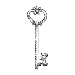 mystery skeleton key sketch hand drawn vector