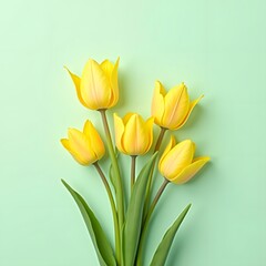 Fototapeta premium Ethereal Beauty: Yellow Tulips Floating on Mint Background