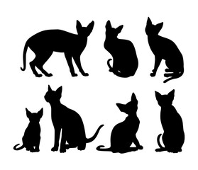striking sphynx cat silhouette collection