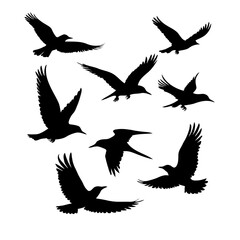 Obraz premium Flying birds silhouette set in motion vector illustration