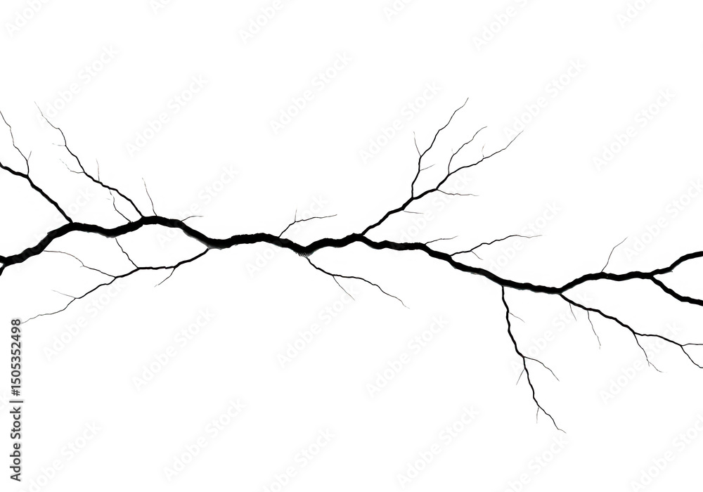 Poster abstract branch design element isolated on transparent background