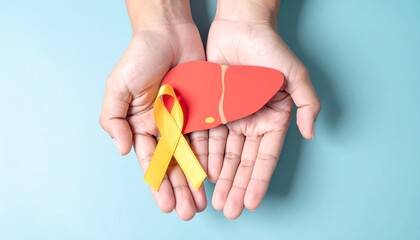 Hands Hold Healthy Liver with Supportive Ribbon