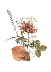 Hand drawn illustration of dried herbs and leaves. Fall composition. Perfect for posters, home textile, wall decor, apparel, packaging design, stationery and other printed goods