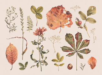 Hand drawn illustration of dried herbs, leaves and flowers. Perfect for posters, home textile, wall decor, apparel, packaging design, stationery and other printed goods