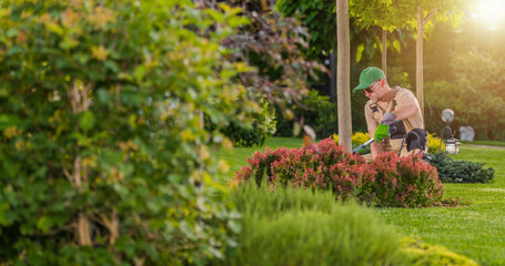 Gardener Tending to Vibrant Plants in a Lush Garden During Late Afternoon Sunlight