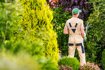 Gardener Trimming Hedges in a Lush Landscape on a Sunny Day