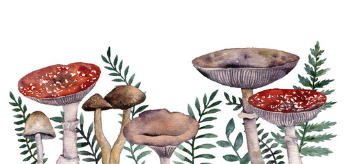 watercolor drawing border poisonous mushrooms and green fern leaves, hand drawn botanical illustration © cat_arch_angel