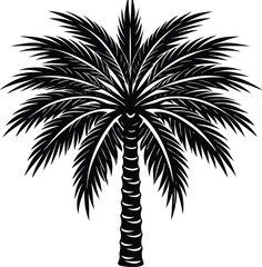 Palm Tree with Textured Trunk and Sharp Fronds