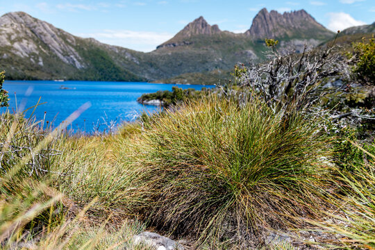 generic mountain and lake with scrubby grass in the foreground