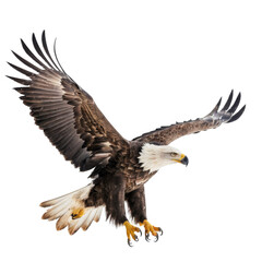 Obraz premium American Bald Eagle flying isolated on transparent background, Eagle PNG 