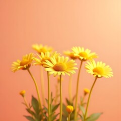 Golden Daisies: Graceful Blooms on a Coral Canvas