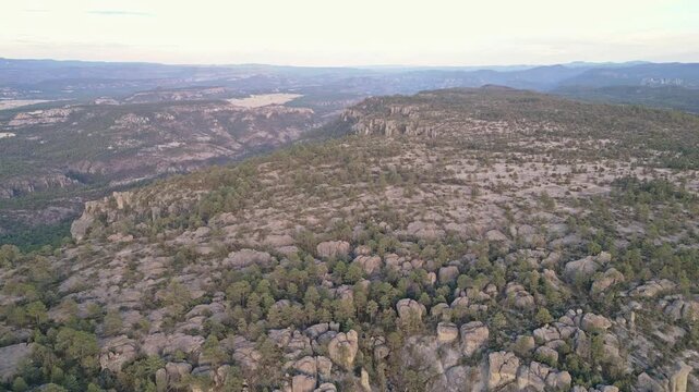 Mountain plateau with pine trees and rocks in Valle de los Monjes, Chihuahua, Mexico