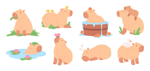 Cute capybara. Funny capybaras resting, play with butterfly duck and chicken. Cartoon wild animals, exotic rodent various poses, racy vector set