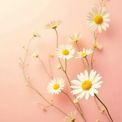 Obraz premium Gilded Daisy Dream: Elegant Floral Revival on Soft Pink Canvas