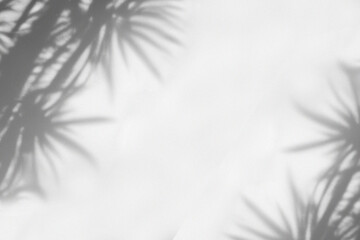 Twilight Shadow Overlays