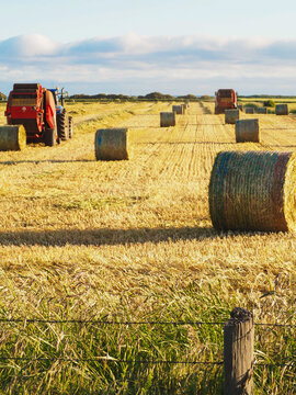 Baling contractors baling hay