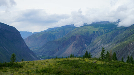 Naklejka premium Scenic rocky mountain gorge in the Altai mountains