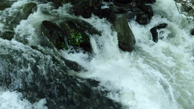 Flowing River Rapids Over Rocks Surrounded By Natural Greenery and Foliage, Kerala, India.