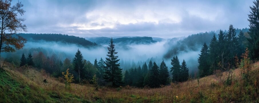 Amazing mystical rising fog forest trees landscape in black forest blackforest ( Schwarzwald ) Germany panorama banner  - Dark mood