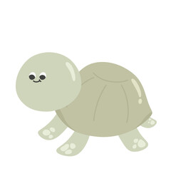 funny turtle cartoon