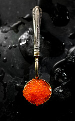 Red caviar in a spoon over black stone background, with ice. Close-up of salmon fish roe caviar. Delicatessen. Texture of trout caviar. Seafood backdrop. Top view, vertical shot from above. 