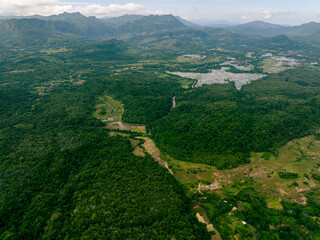 Tropical Mountain and Forest Aerial Shot