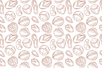 Seamless nut pattern in line art style. Almond, walnut, cashew, hazelnut, macadamia, pecan, peanut and pistachio on white background. Perfect for food packaging, organic snack and kitchen decor.