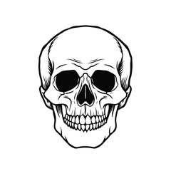 outline vector skull in black