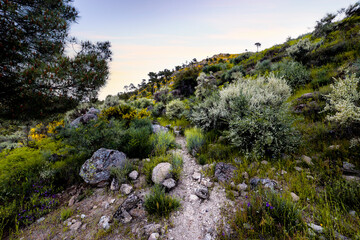 Sendero en la Garganta Eliza