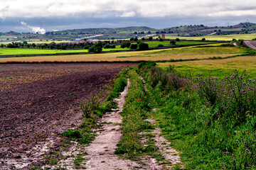 Primavera en el camino