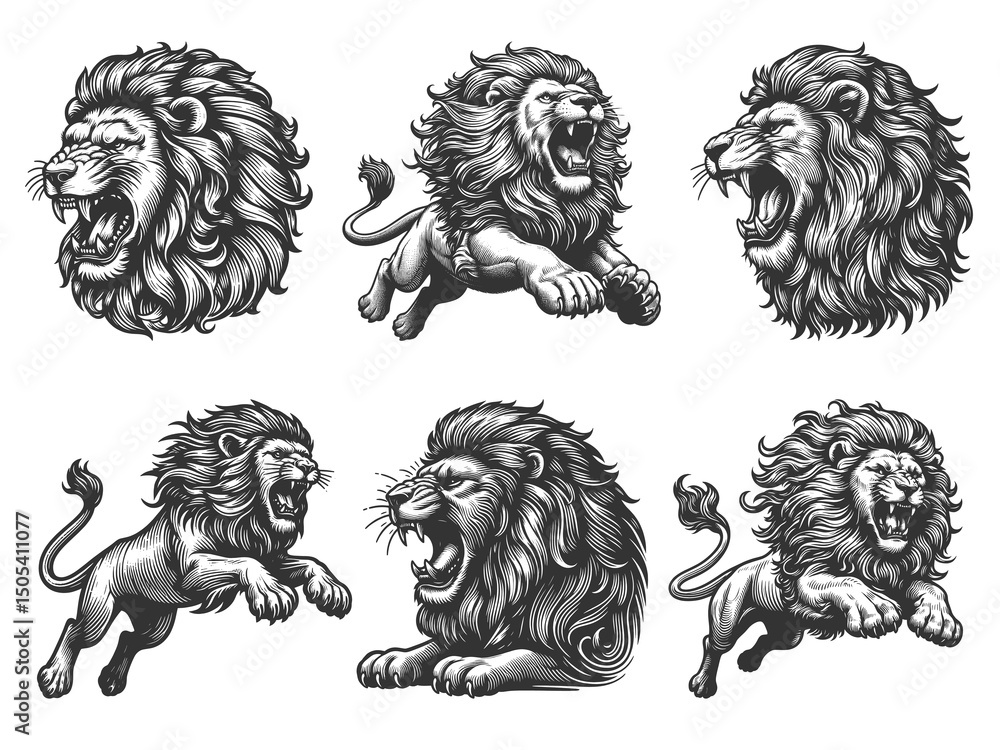 Poster roaring lion set collection bundle sketch engraving generative ai raster illustration. scratch board