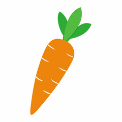 carrot isolated on white background