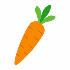 carrot isolated on white