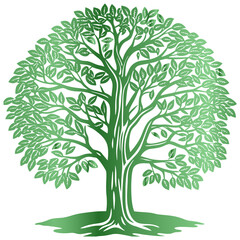 green tree isolated on white with a beautiful tree with vector design and illustration