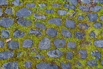 Mossy Cobblestone Path: Ancient Paving Stones with Vibrant Green Moss Texture.Old Stone Pavement...