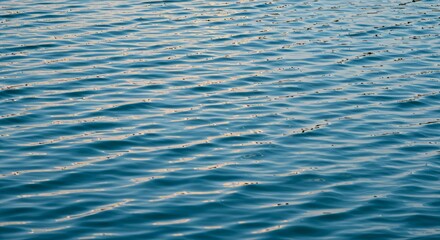 Fototapeta premium Calm Water Texture – Natural Surface Ripples on Lake or Sea