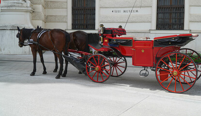 Horse-drawn carriage or Fiaker, popular tourist attraction, on Michaelerplatz in Vienna
