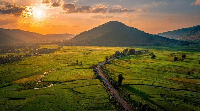 Serene sunset over verdant rice paddies and a winding road leading towards a lone mountain under a vibrant sky